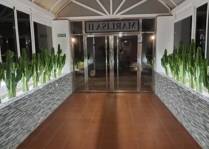 And The Ocean Tabaiba