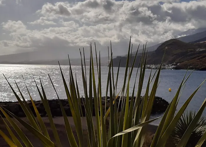 And The Ocean Διαμέρισμα *