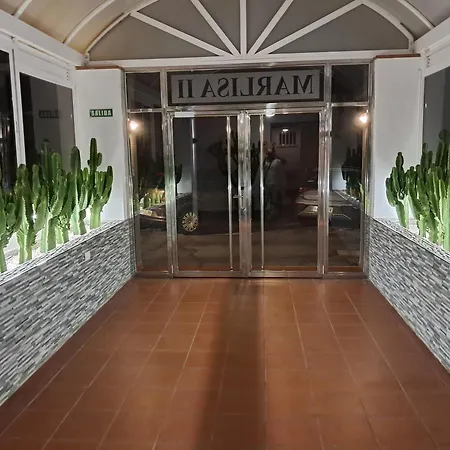 And The Ocean Tabaiba